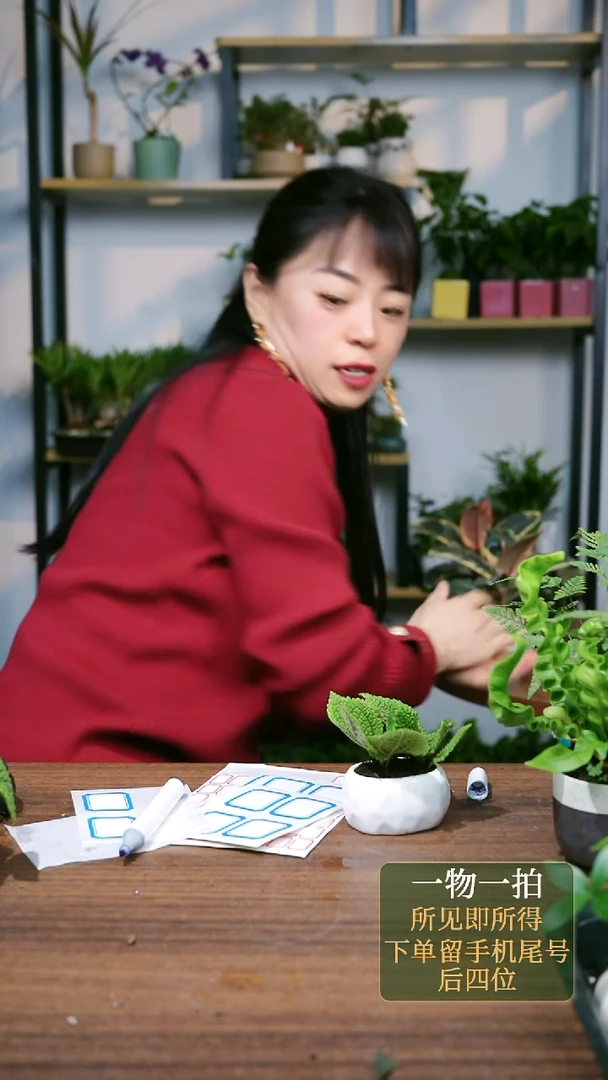 【闪购商品】10--5166油画花苞