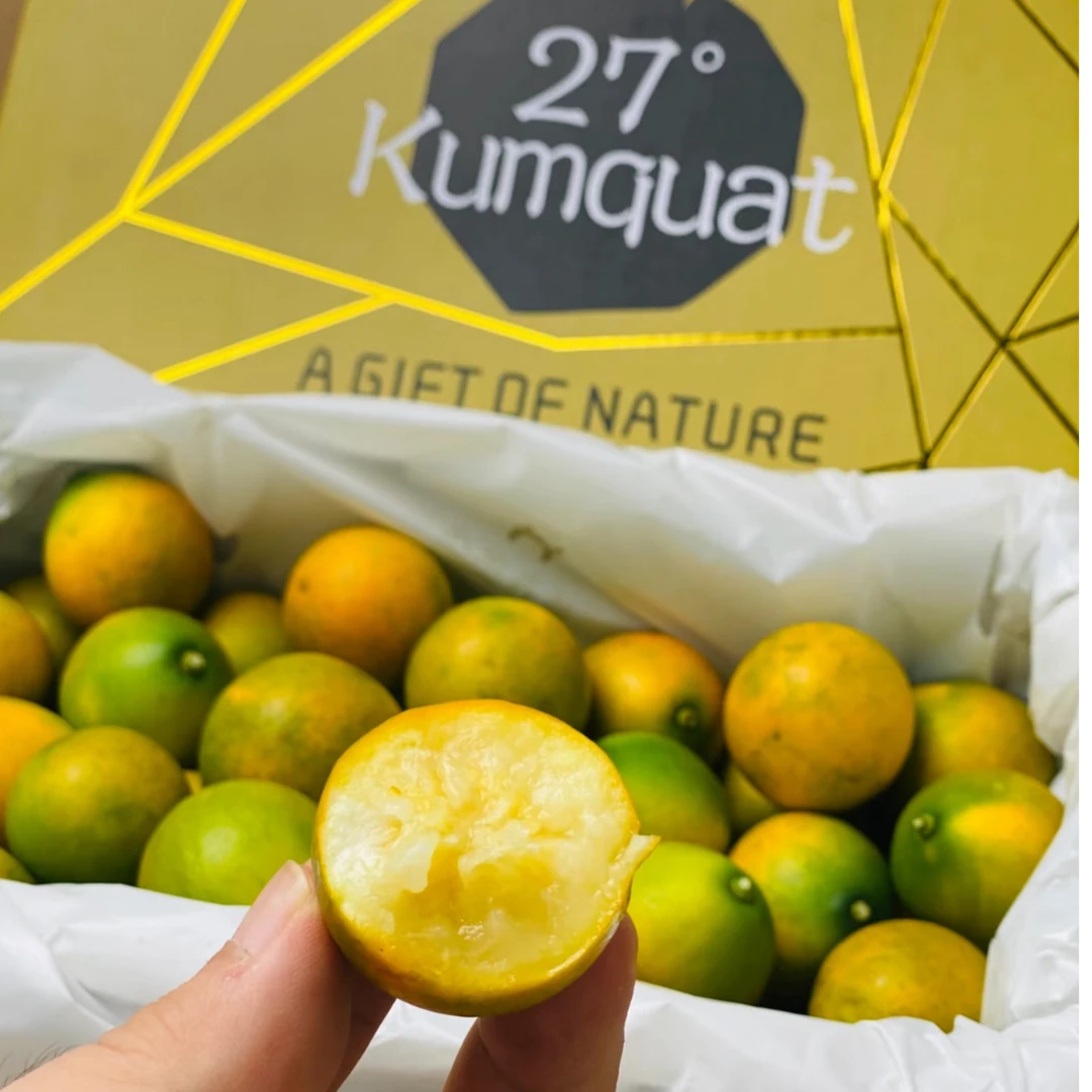 27°脆蜜金桔蜜甜多汁 3斤精品礼盒装 当季新鲜蜜桔