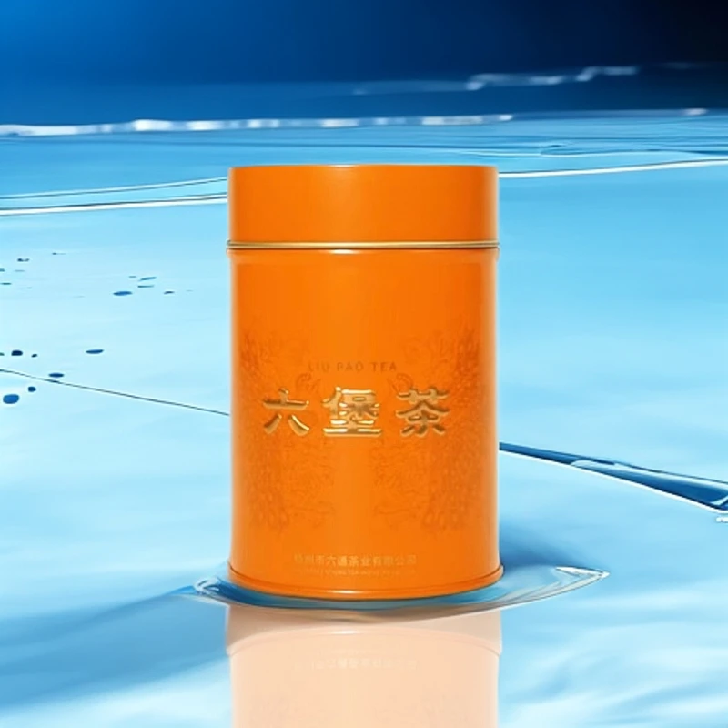 （100克）老迷你沱六堡茶 2001年陈化 六通六堡茶