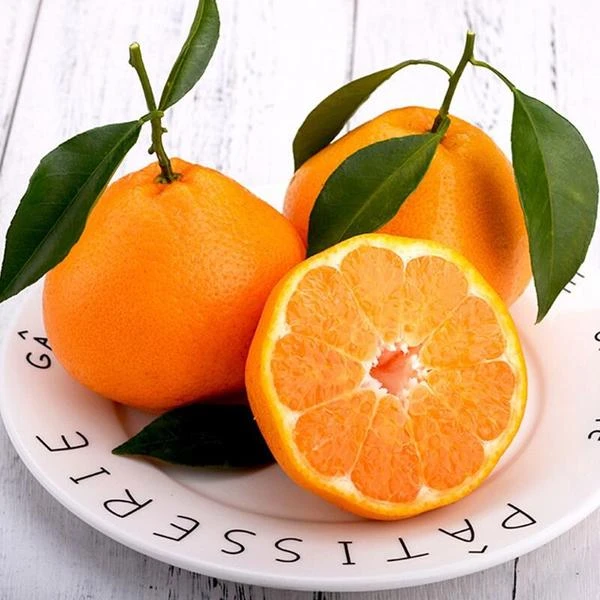 【纯金地】春见耙耙柑1斤-3斤耙耙柑四川省成都市