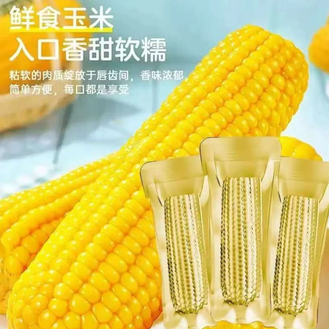 【铝箔12根】东北黄香糯玉米甜糯单根260-320g试吃3根整箱7-8斤