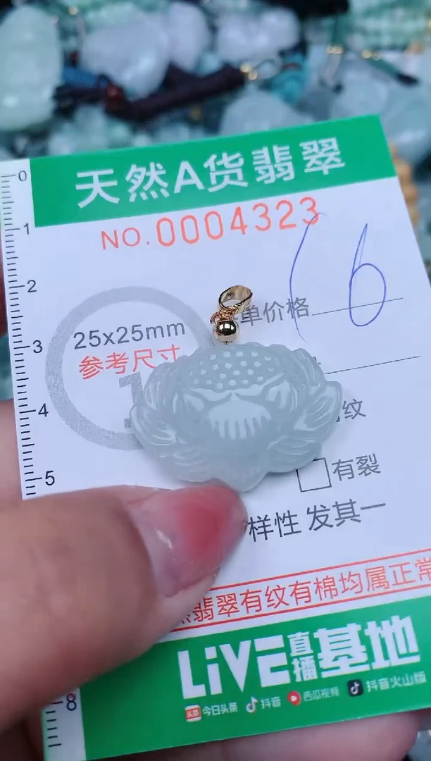 【闪购商品】翡翠颈饰未镶嵌.0004323