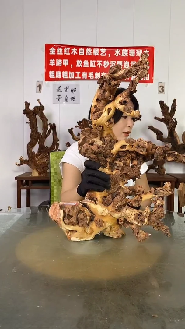 香榧木嘉****艺金丝红木   羊蹄甲