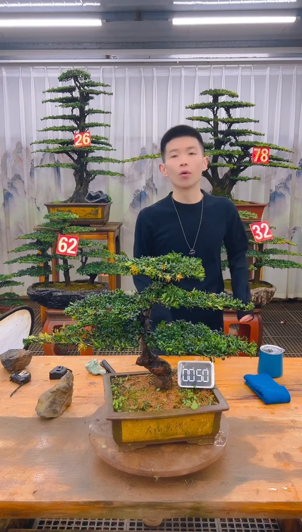 无花朵精品盆景直播间一物一拍
