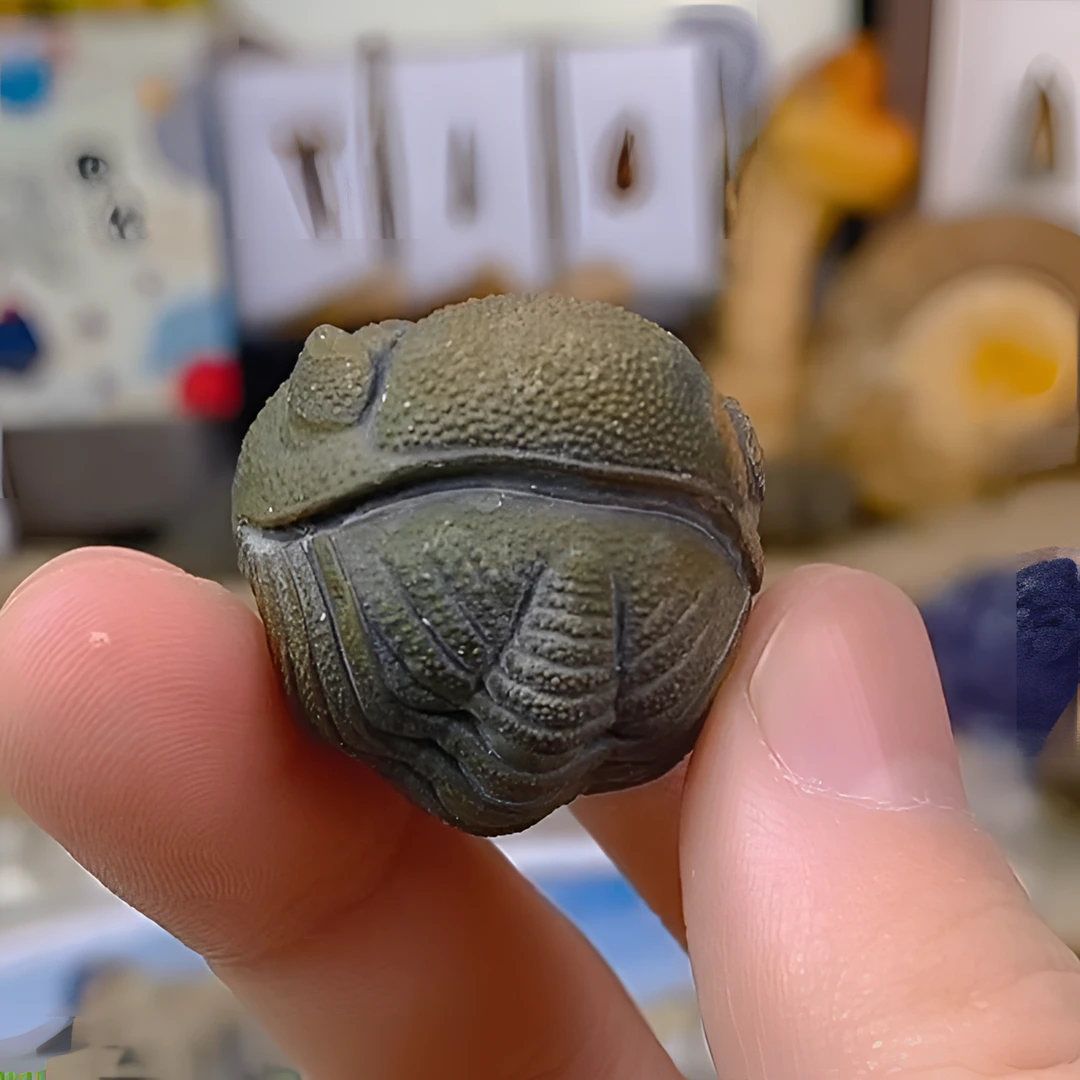 镜眼|虫虫新年礼物生日礼物个人收藏家居摆件