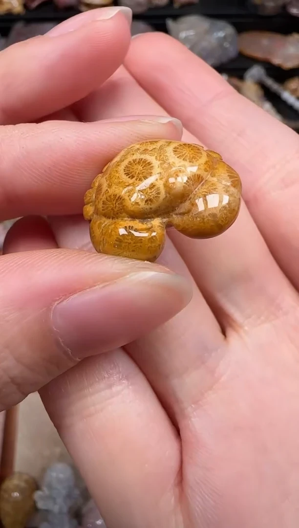 硅化珊瑚（珊瑚玉）未镶嵌颈饰146