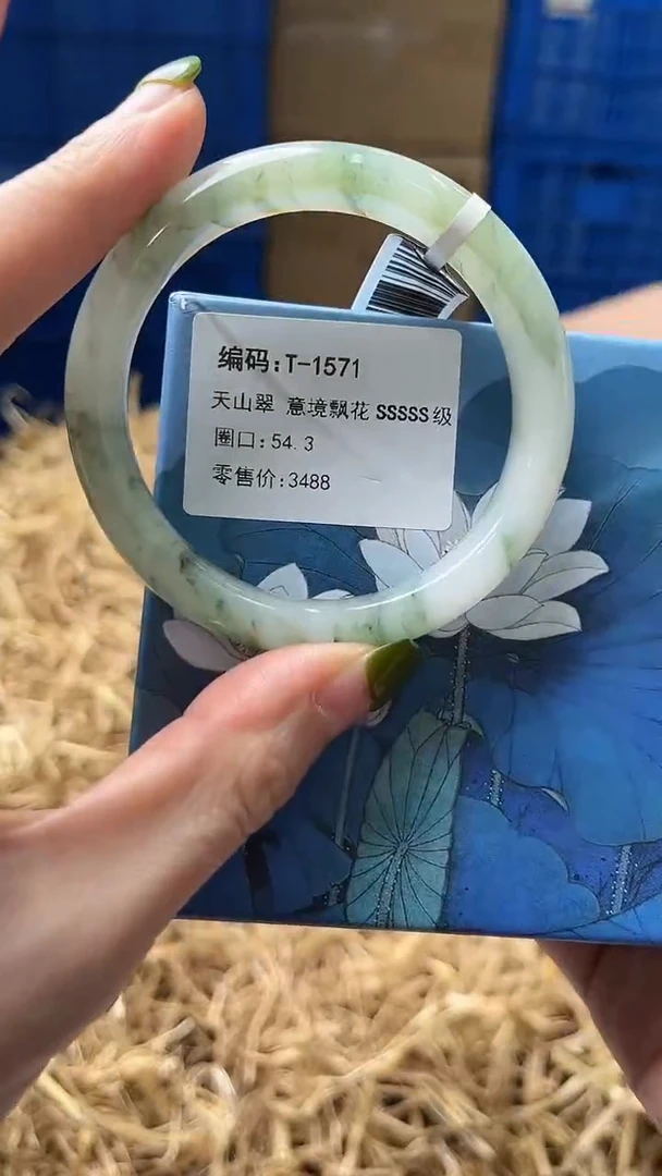 未镶嵌手镯石英质玉t1571