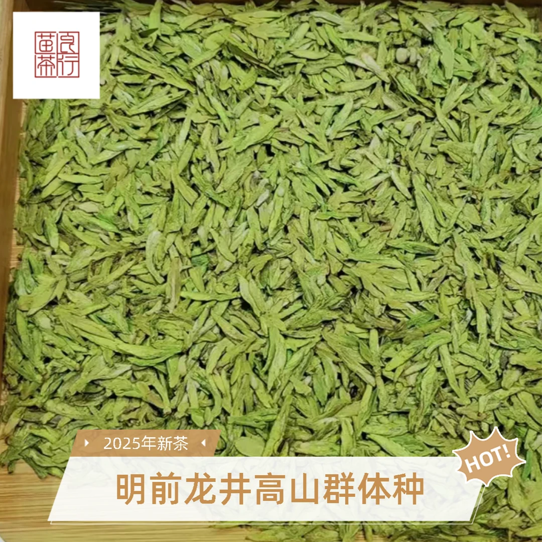 【高山群体种龙井茶】2025年明前龙井茶罐装扁茶耐泡新茶