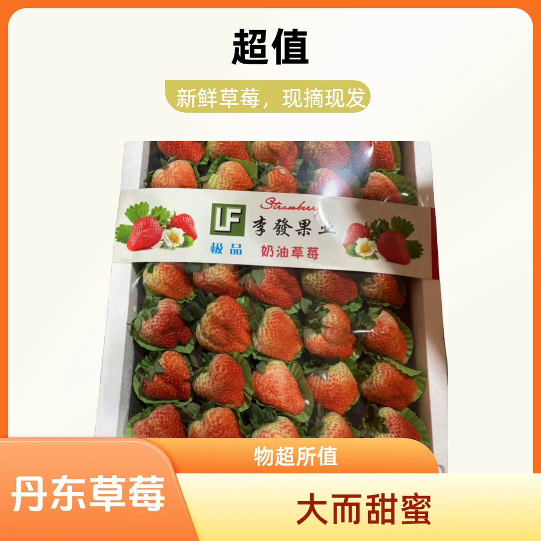【整果】丹东大只红颜草莓