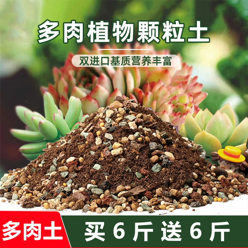 【买6斤送6斤】颗粒土多肉土颗粒营养土育苗泥炭土养多肉专用颗粒土