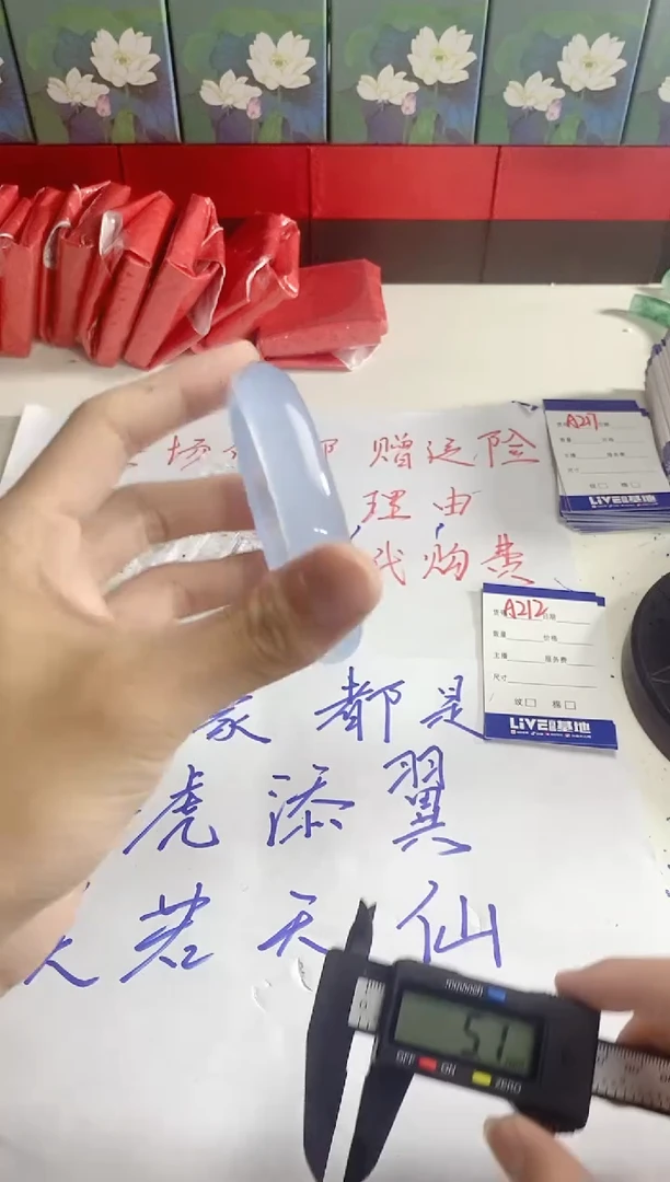 无非金属如虎添翼镯 百搭 A212