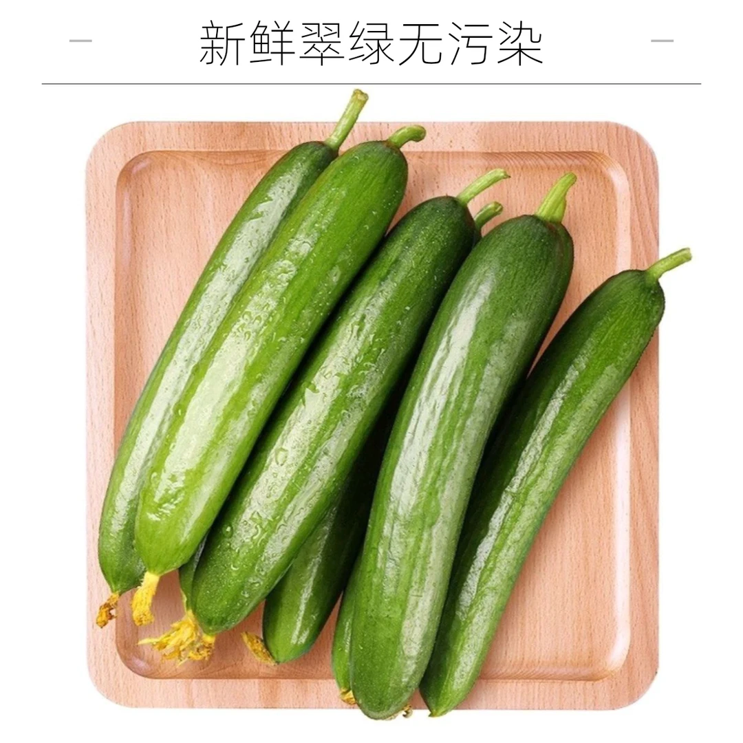 【水果黄瓜】山东淮坊水果黄瓜整箱2斤