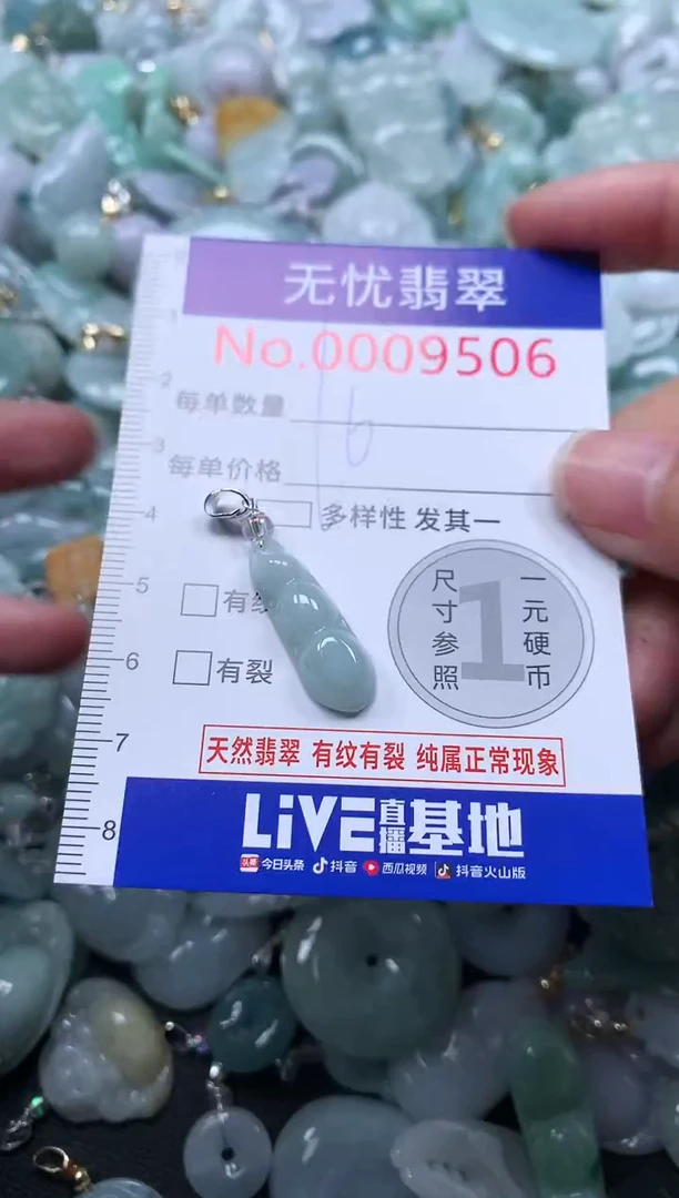 颈饰未镶嵌翡翠9506