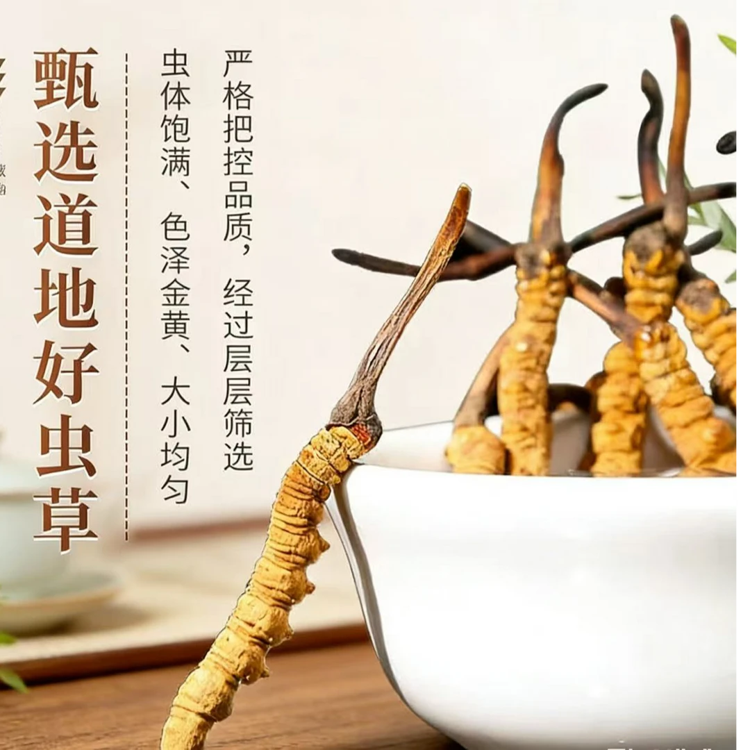 【永乐行】西藏冬虫夏草        S