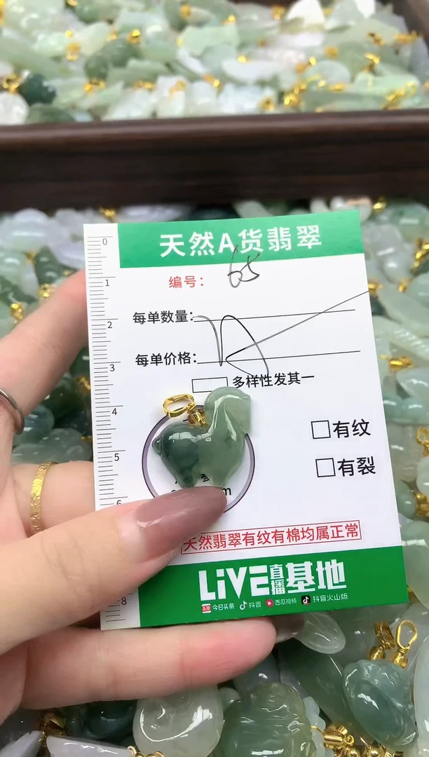 颈饰未镶嵌翡翠纯天然缅甸A货翡翠-65