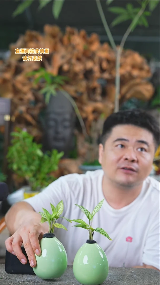 完全开放轻吻足芋428T