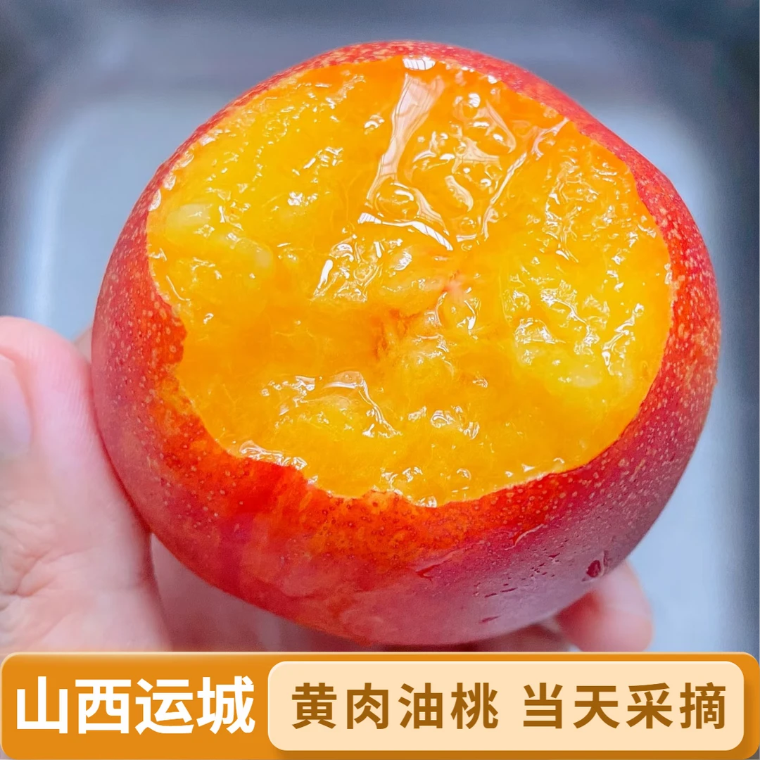 运城黄肉油桃 当天新鲜采摘 脆软两吃 应季水果脆甜爆汁