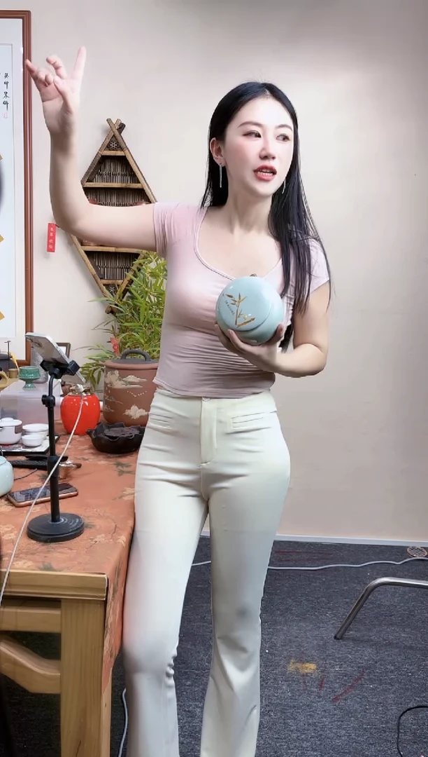 青花瓷茶叶罐装铁观音