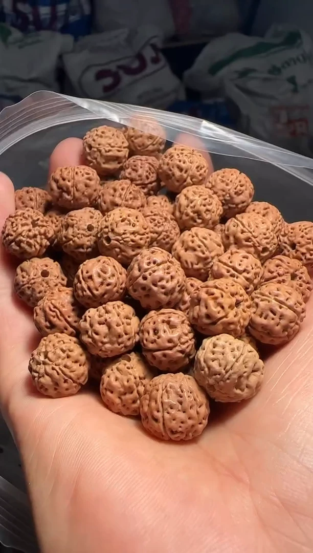 手串金刚菩提非全品平细散籽13-14mm一份一百颗