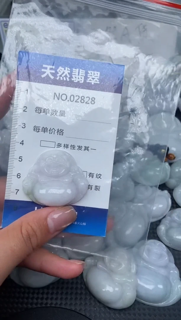 颈饰未镶嵌翡翠纯天然A货翡翠2828