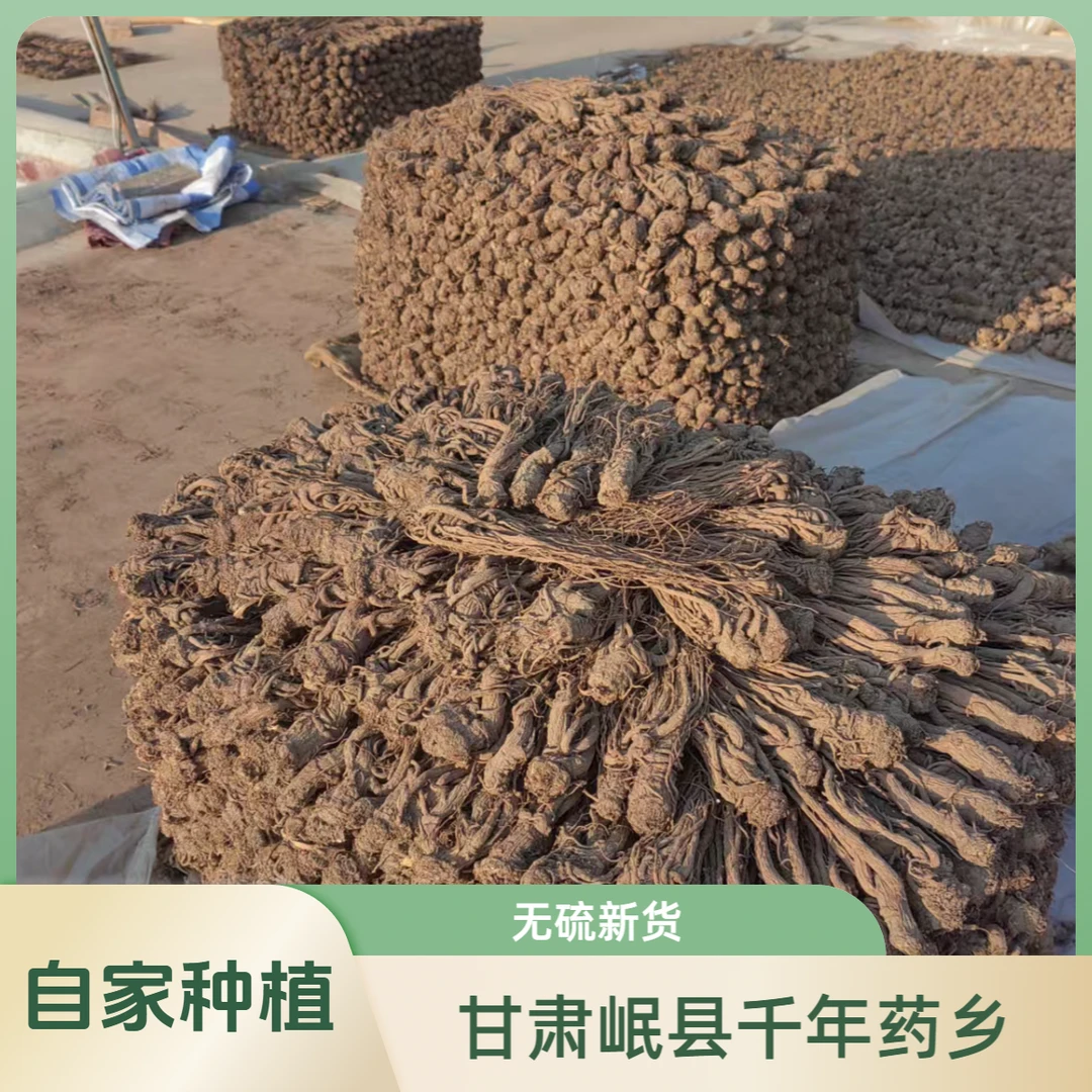 甘肃原产地当归原条  无硫新货  煲汤炖肉