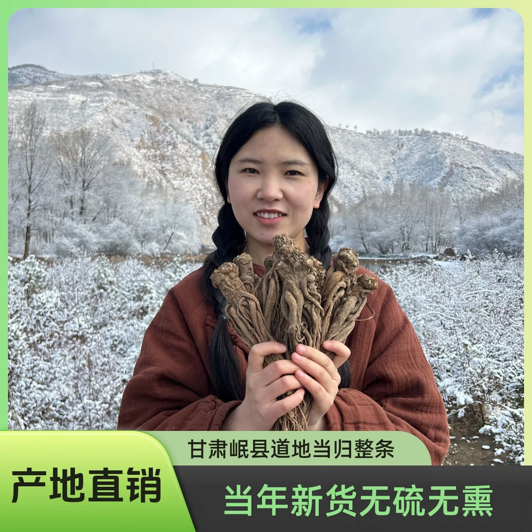 当归 岷县道地当归原产地直发当归原条 整条不切片不加工 无硫熏