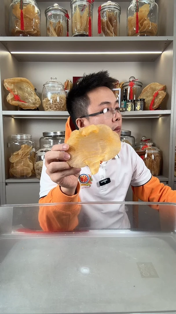 中国大陆赤觜母一个