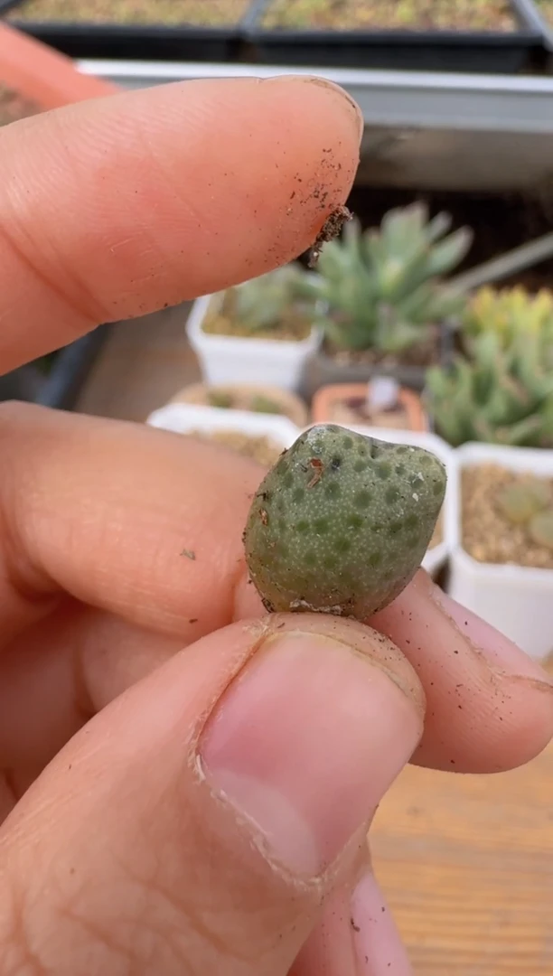 【闪购商品】9---1