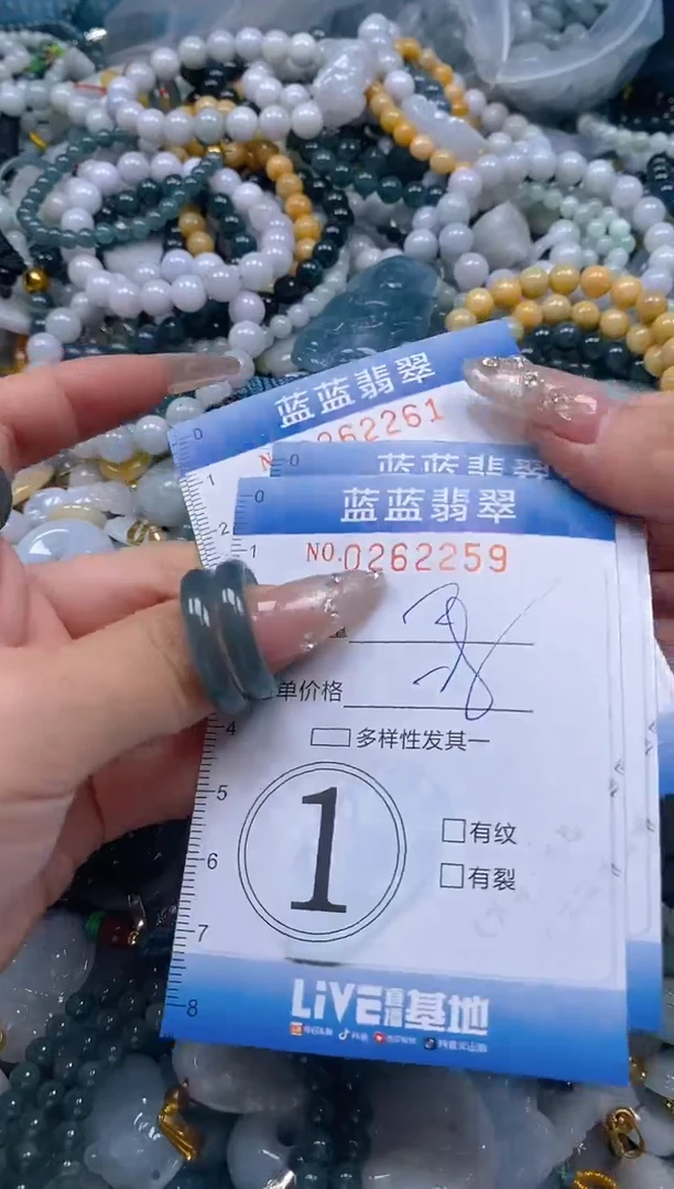 翡翠未镶嵌颈饰闪购0262259