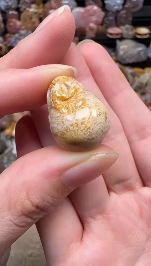 颈饰未镶嵌硅化珊瑚（珊瑚玉）074