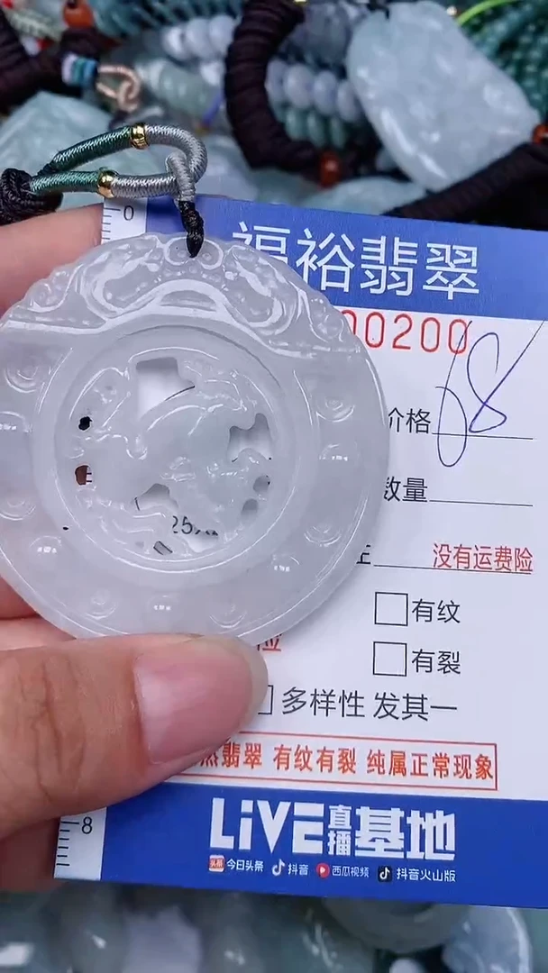 翡翠未镶嵌颈饰...0000200