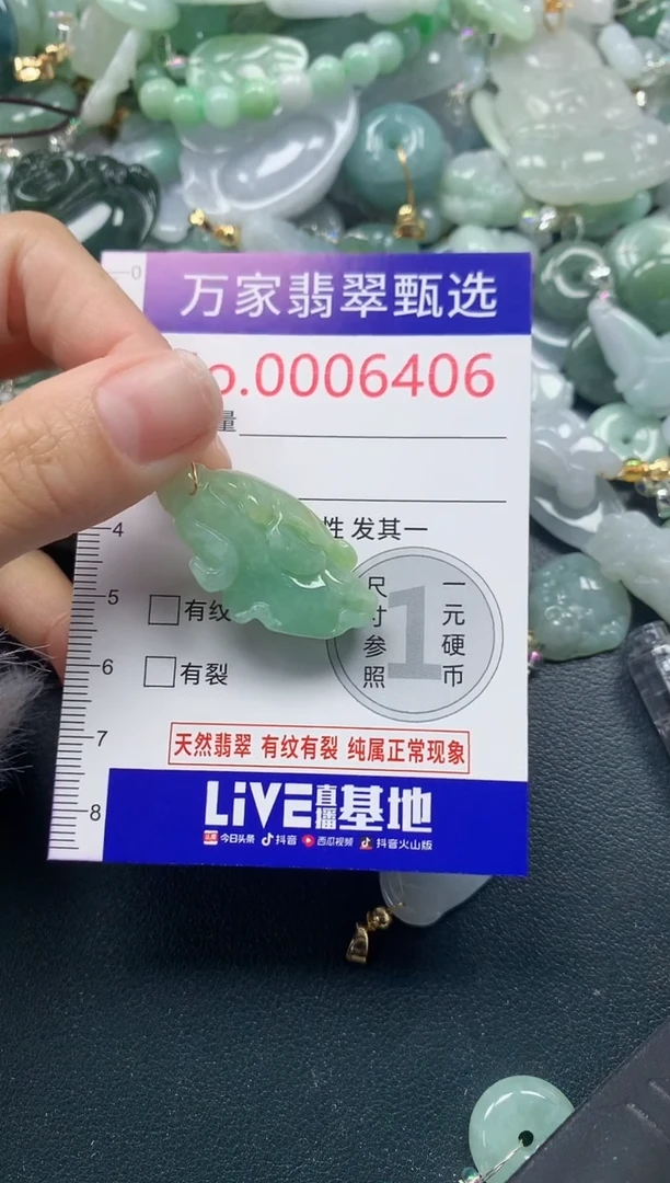 吊坠(不含链)未镶嵌翡翠6406
