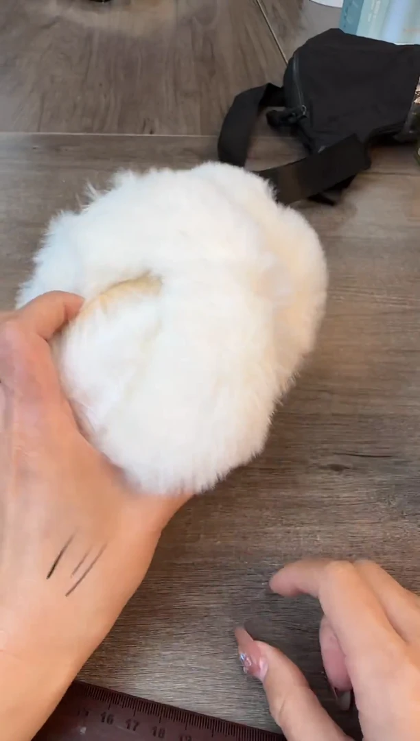 瓷片认准小满买正品@@CQ3079