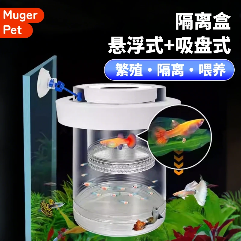 孵化隔离密网鱼缸隔离盒孔雀鱼繁殖隔离网产卵孵化专用胎生鱼苗