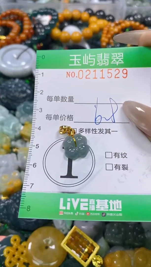颈饰未镶嵌翡翠闪购0211529