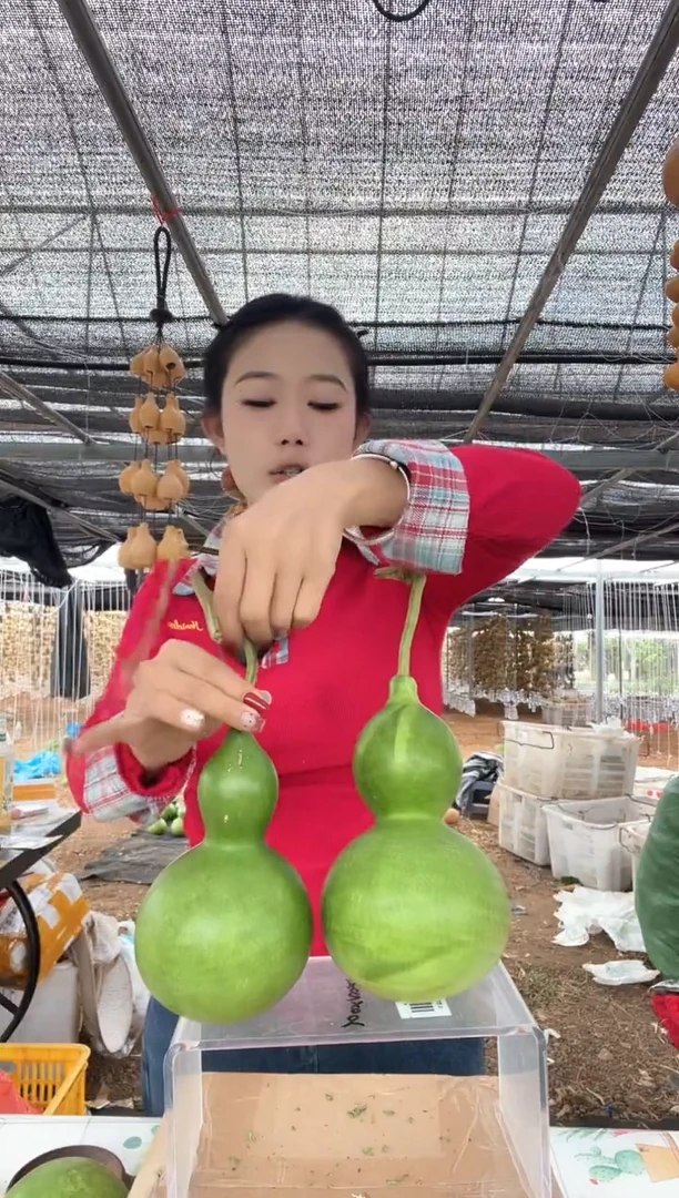 156天然葫芦摆件 一物一拍龙头不保售后