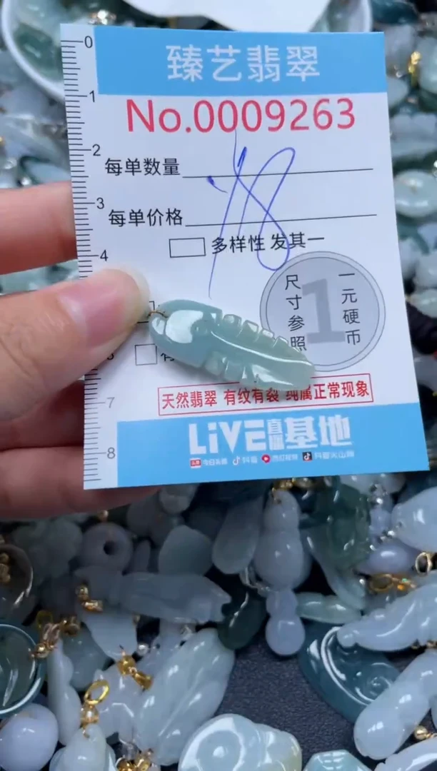 颈饰未镶嵌翡翠9263