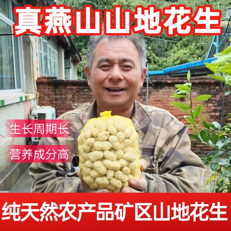 【新店买两斤送一斤】矿区山地花生日晒充足饱满香脆新鲜现挖带壳