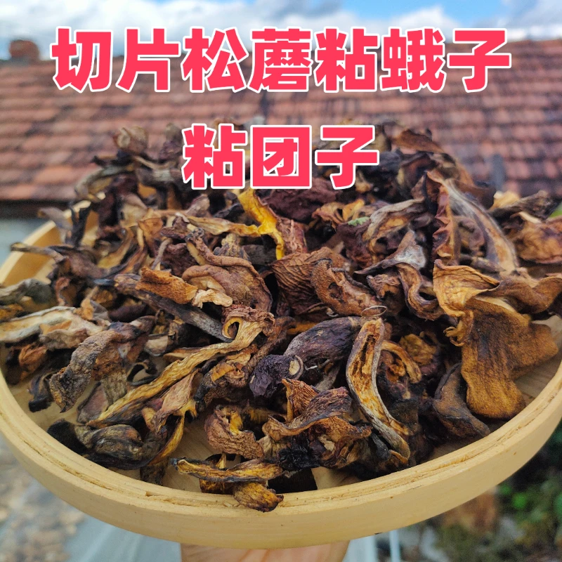 切片东北野生松蘑粘蛾子粘团子黑蘑菇松菇炖小鸡