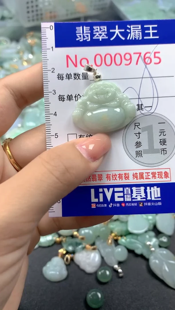 颈饰未镶嵌翡翠9765