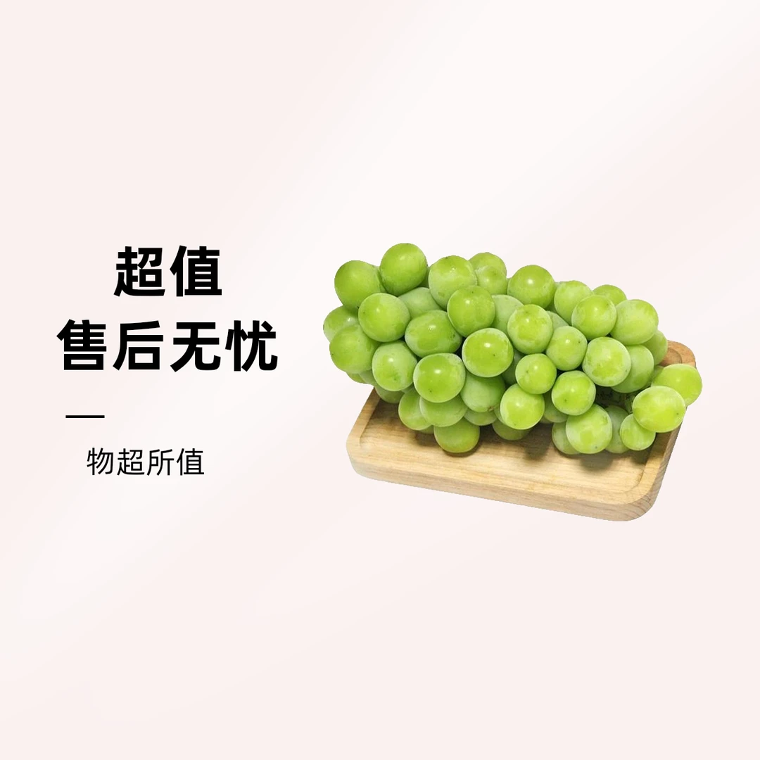 阳光玫瑰青提阳光玫瑰葡萄1000g云南省