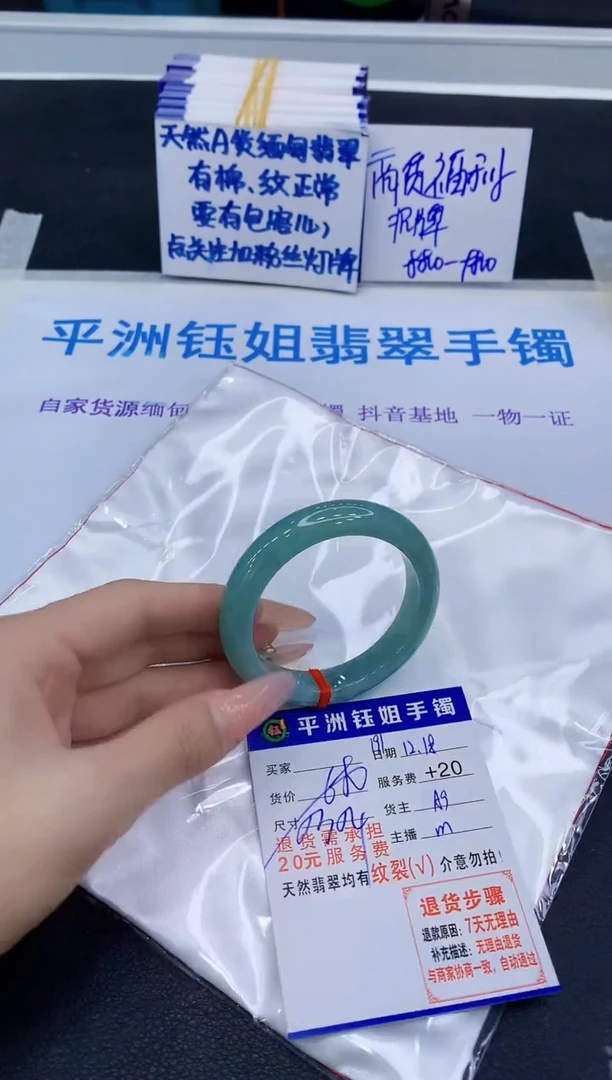 未镶嵌手镯翡翠11111
