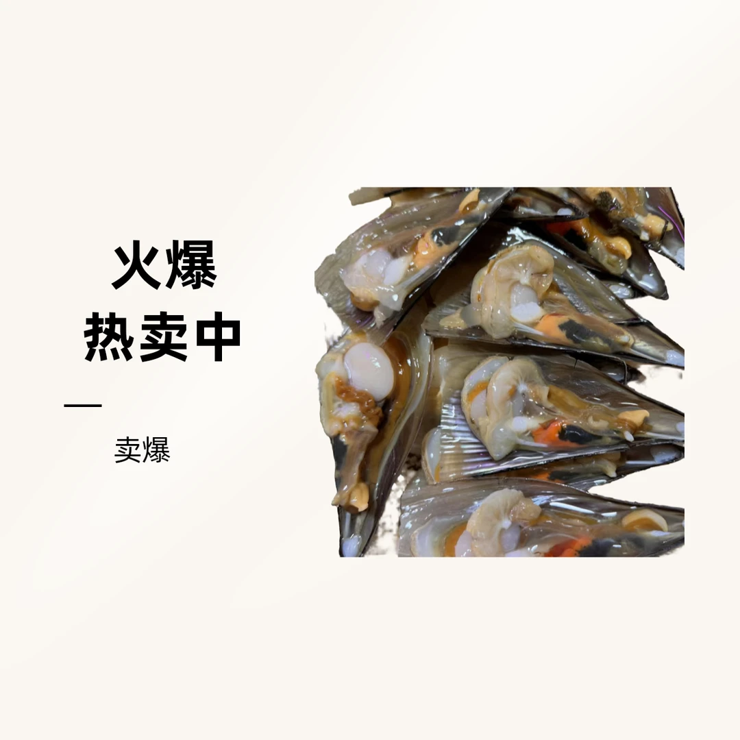 鲜活带子 （1个）