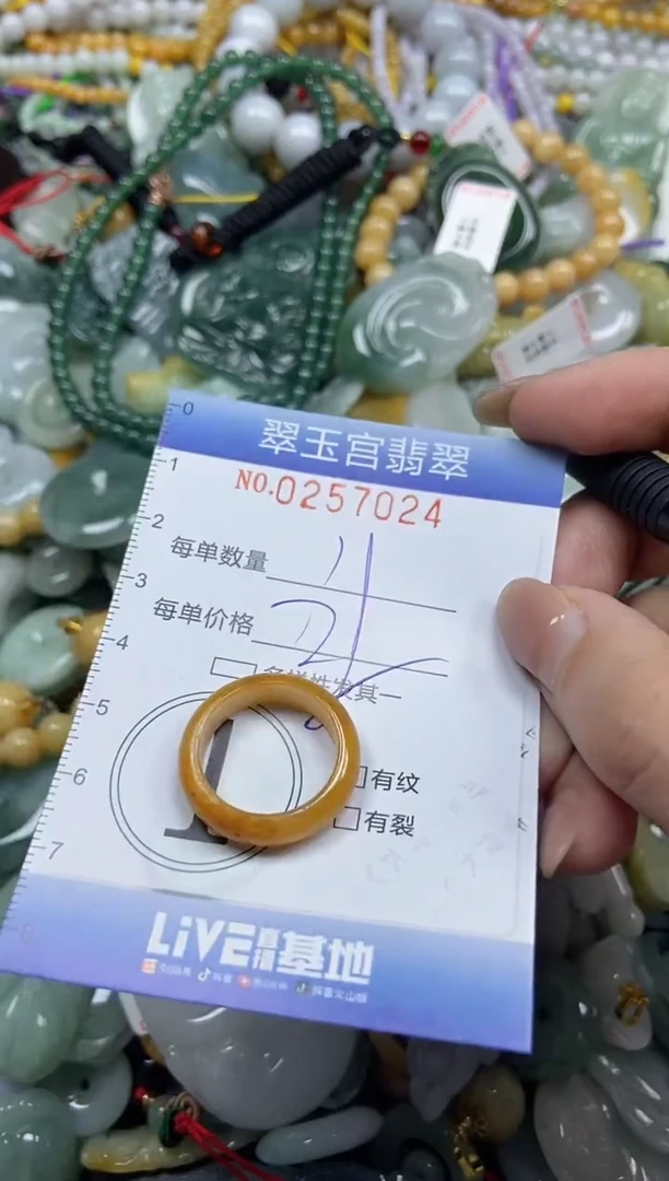 颈饰未镶嵌翡翠闪购C0257024