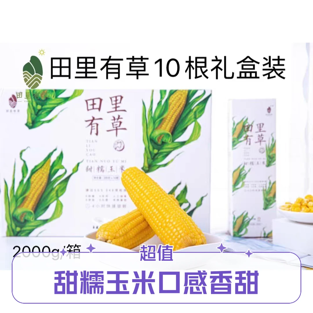 田里有草甜糯玉米 10穗黄糯玉米吉林省