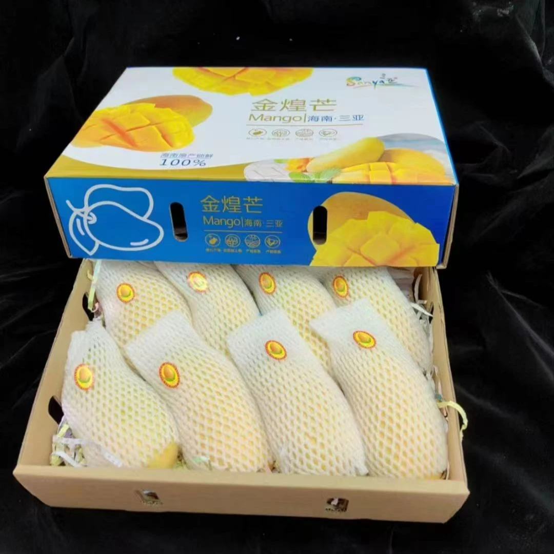 海南金煌芒精品礼盒新鲜芒果现摘现发