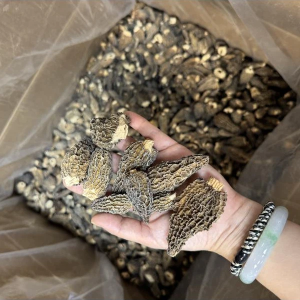 【年年滋补】羊肚菌传统干货厚肉无沙宝宝菇搭配煮汤营养美味