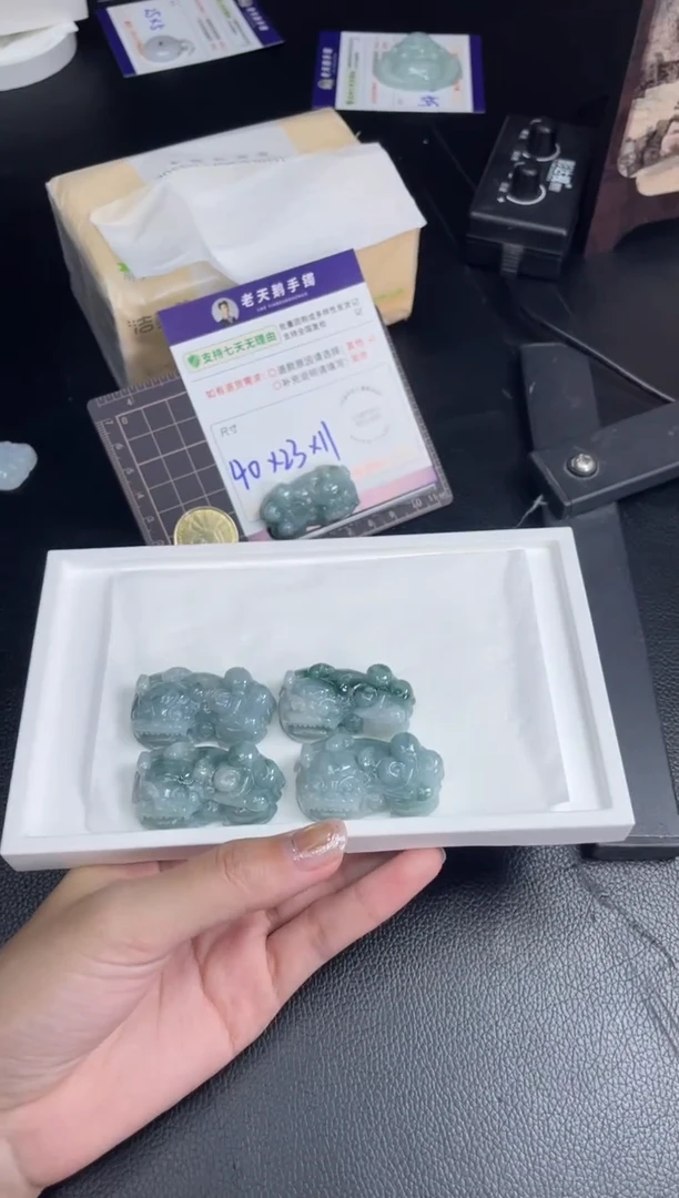 未镶嵌挂件翡翠飘花貔貅FL13配绳/多样性发其一ZBCP