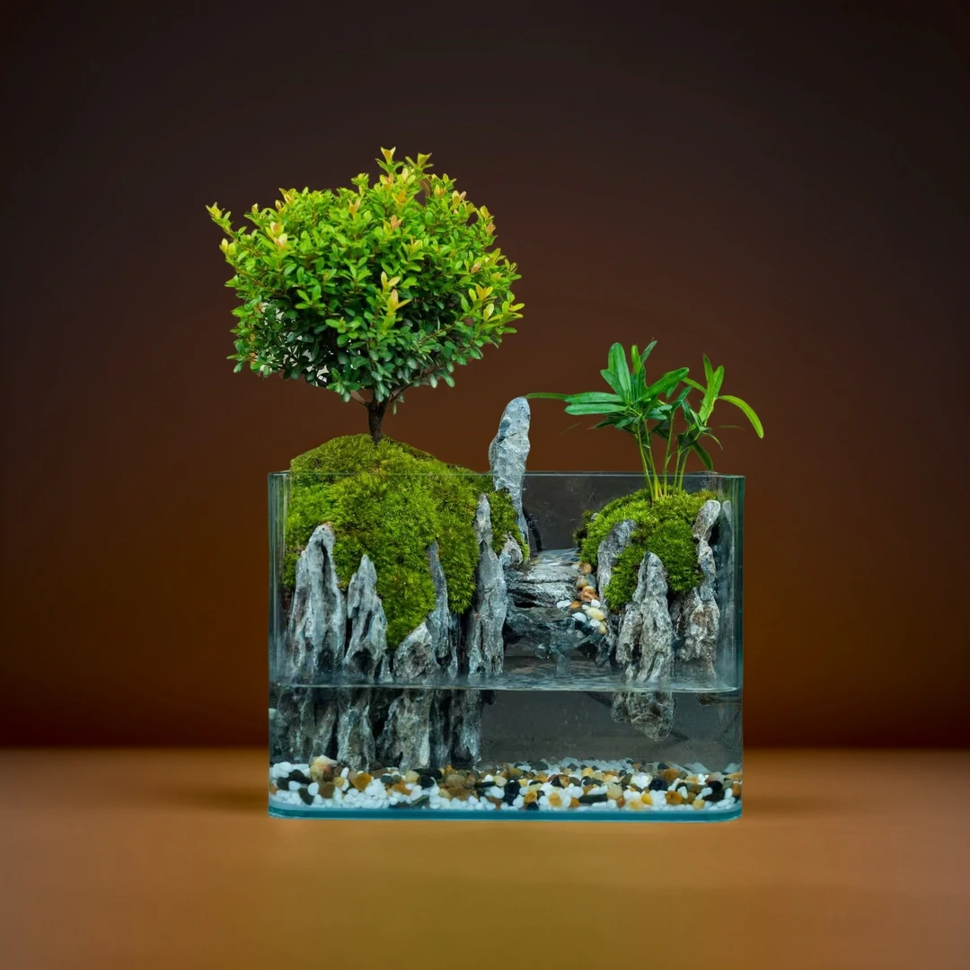 【精选】苍云—小叶赤楠青龙石盆栽尺寸25*16*18