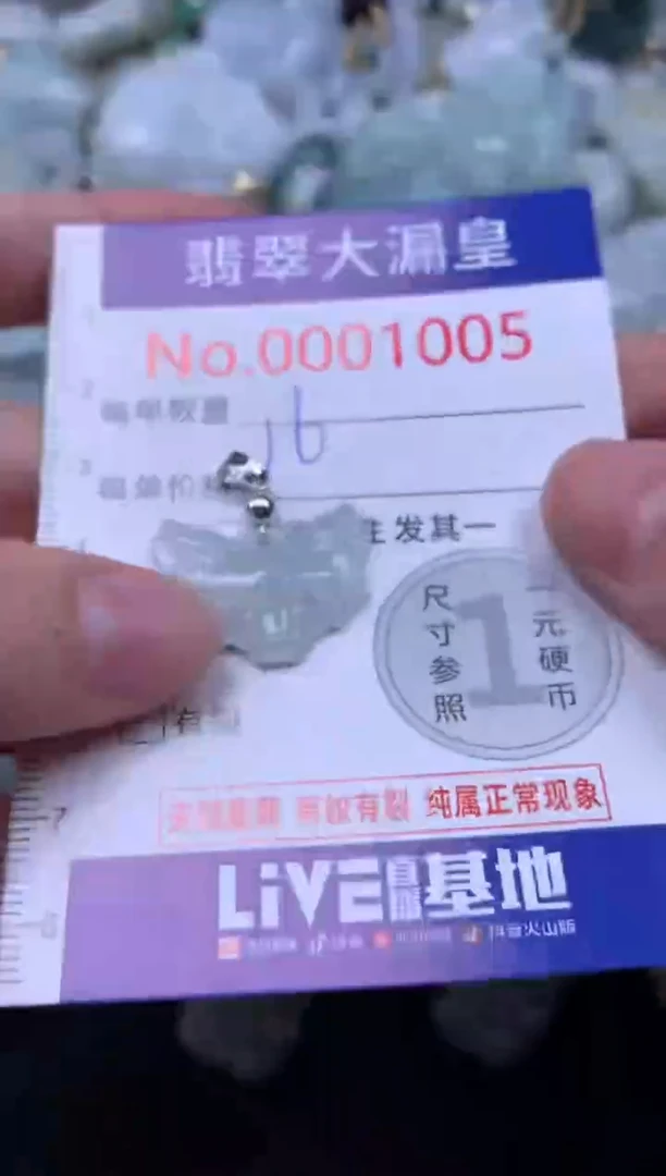 吊坠(不含链)未镶嵌翡翠1005